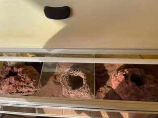 Acuario con mueble y decoración