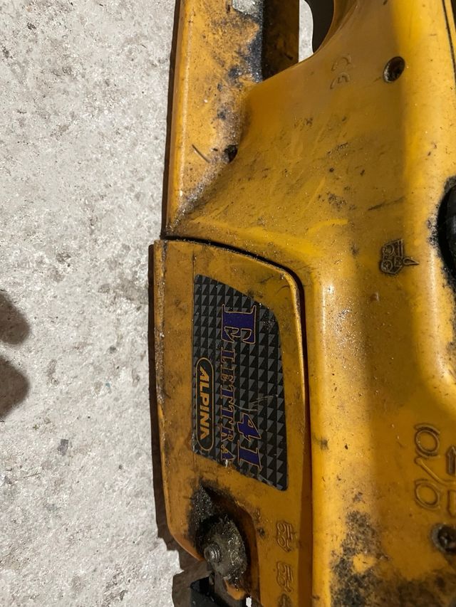 Motosega elettrica Alpina