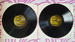 Queen - Rock in Japan Doble Vinilo