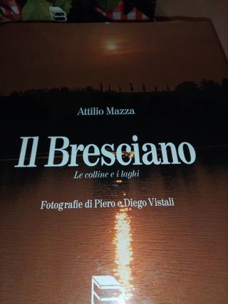 Il Bresciano