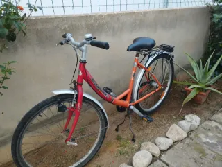 Bicicleta Pegasus Naranja
