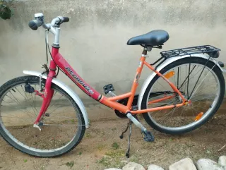 Bicicleta Pegasus Naranja