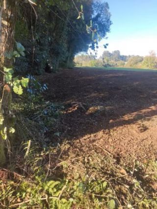 se desbrozan fincas en Galicia con desbrozadora
