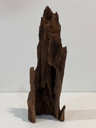 Tronco para acuario