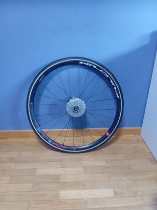 Ruota posteriore Fulcrum a 12 pignoni