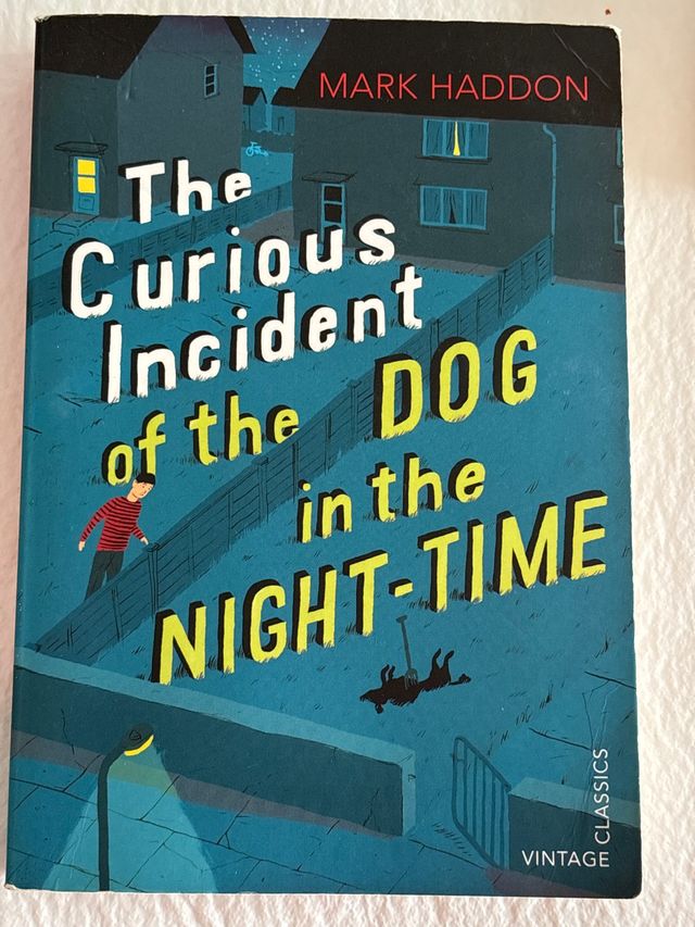 THE CURIOUS INCIDENT OF THE DOG IN THE NIGHT TIME