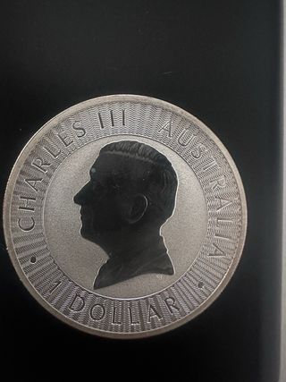 Moneda Plata Canguro Australia 2024 1oz 9999