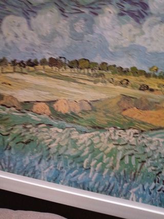 Cuadro Van Gogh La Llanura Reproducción