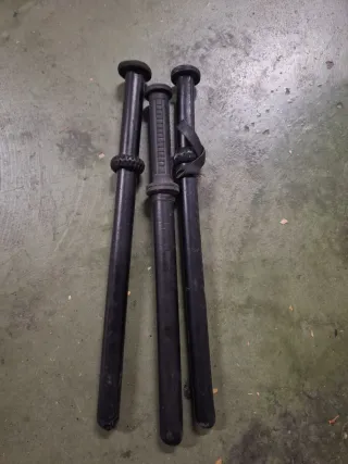 Porras de vigilante de seguridad