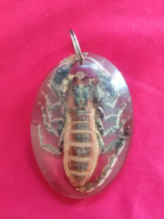 Llavero Escorpión en Resina Antiguo