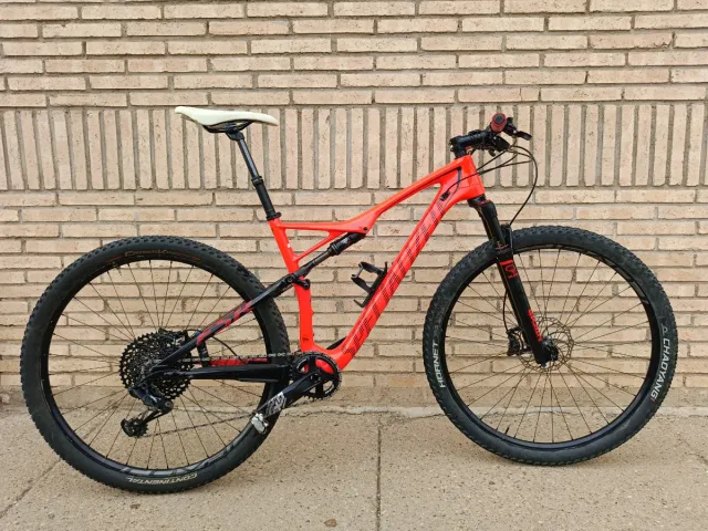 Bicicleta Specialized doble carbono talla L