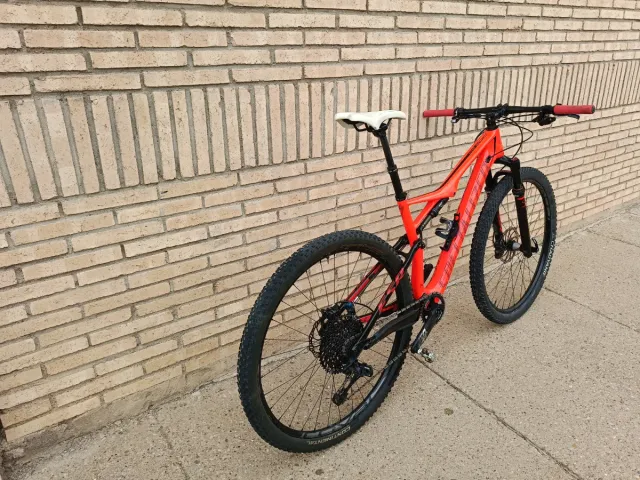 Bicicleta Specialized doble carbono talla L