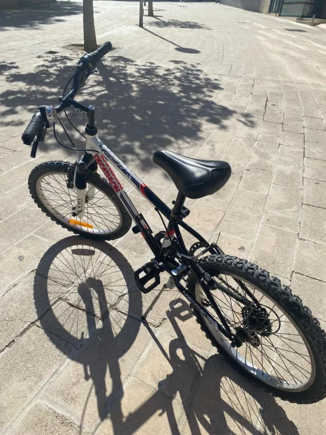 Bicicleta Infantil 20 Pulgadas
