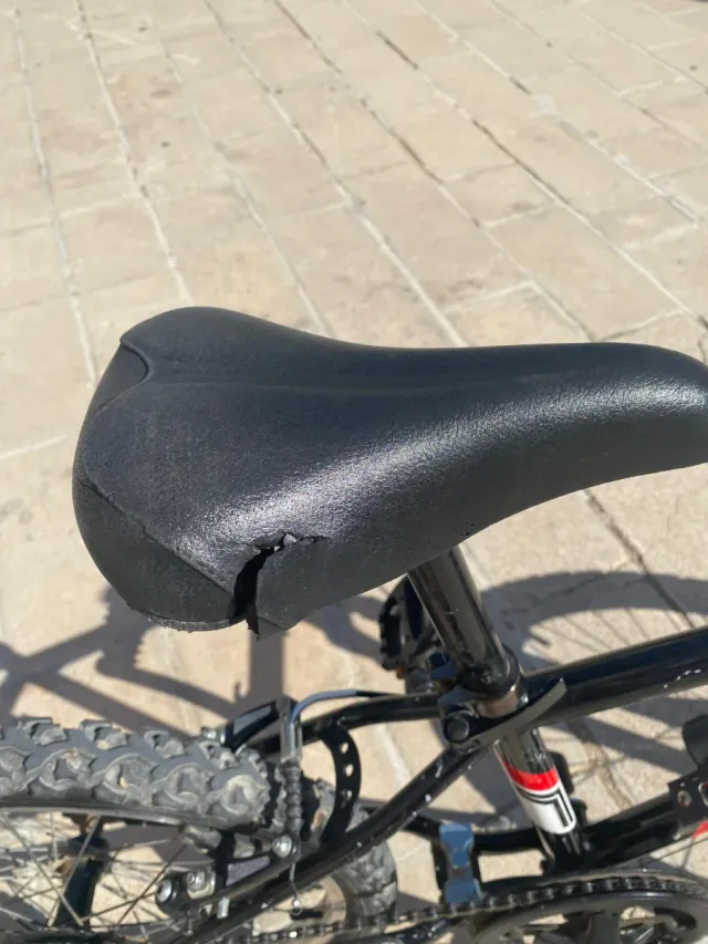 Bicicleta Infantil 20 Pulgadas