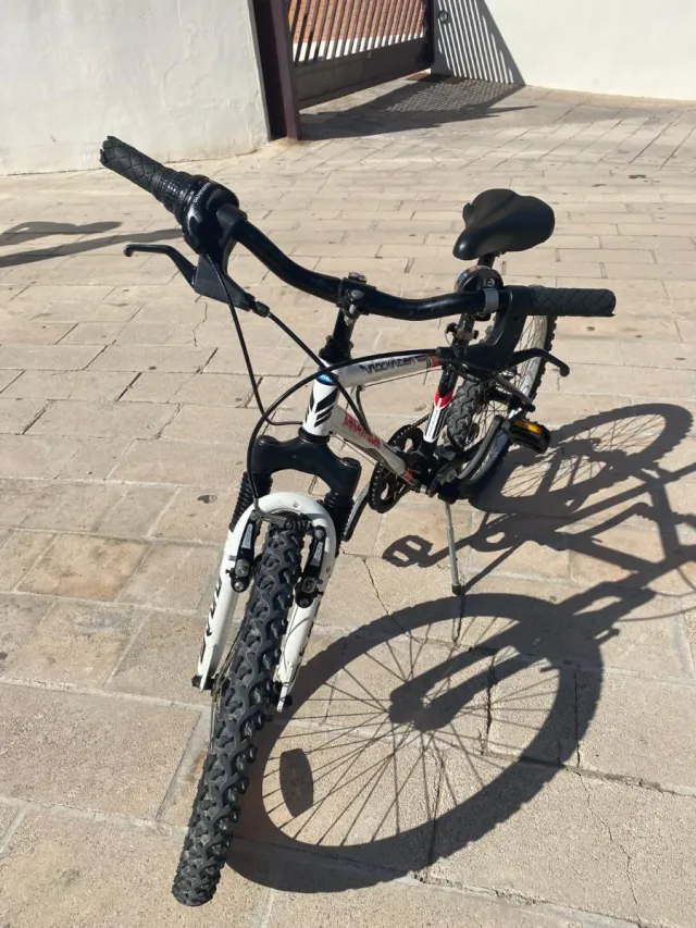 Bicicleta Infantil 20 Pulgadas