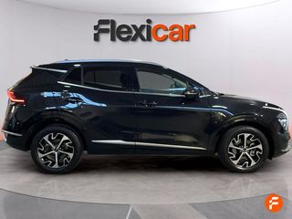 Kia Sportage 1.6 T-GDi HEV 171kW (230CV) Business 4x4