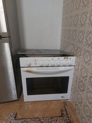 Horno y vitro