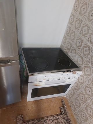 Horno y vitro