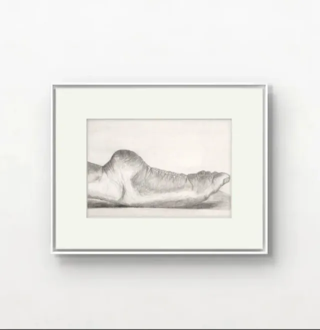 Cuadro lámina pintura. Pie bailarín ARTENERY