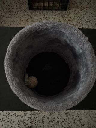 Túnel rascador para gatos de forro polar