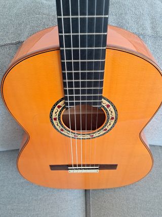 Guitarra flamenca David Peña Vargas