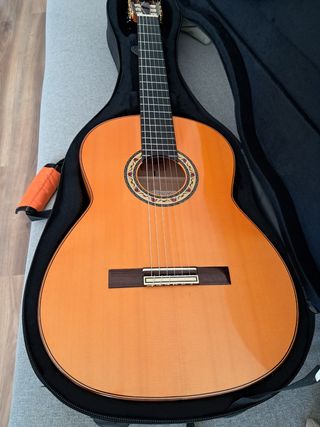 Guitarra flamenca David Peña Vargas