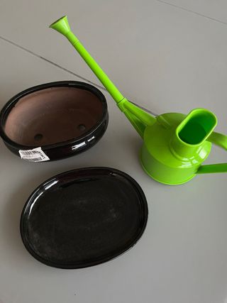Maceta y regadera para bonsái