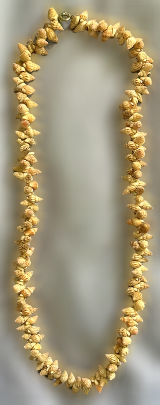 Colar de Mini-Búzios Naturais Duplo, NOVO/Exclusiv