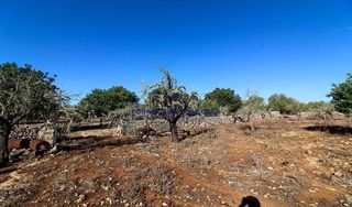 Solar en venta en Santa Margalida en Santa Margalida