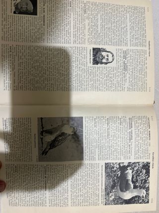 historia de la humanidad