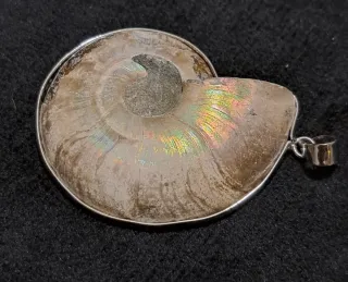 Pendente Ammonite madagascar Iridescente Acciaio