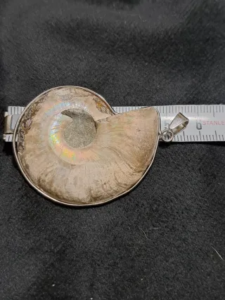 Pendente Ammonite madagascar Iridescente Acciaio