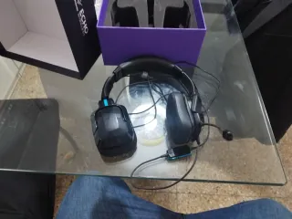 Auriculares Garmin Echo