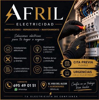 Servicios eléctricos. Electricista