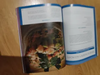 Dieta cetogénica: tu gran aliada contra el cáncer