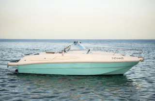 Barco Day Cruiser Río