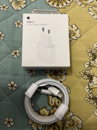 Caricabatterie Apple 20W + Cavo USB-C 2m