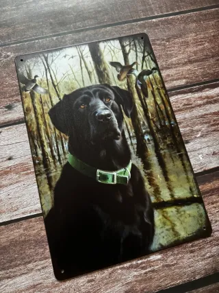 CARTEL CAZA LABRADOR Y PATOS