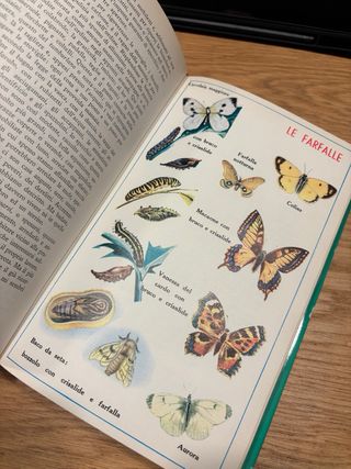 Piccolo dizionario illustrato vintage