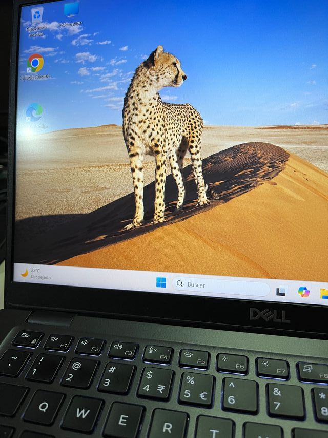 AFFARE!! Computer portatile Dell Latitude 5401 i7 da 16 GB di RAM