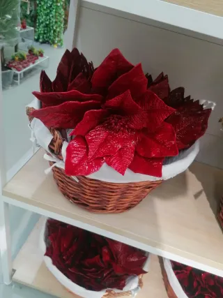 señoras de la limpieza