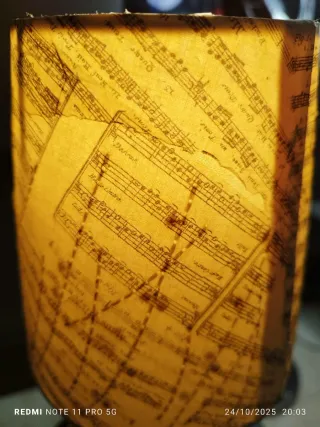 LAMPADA ORIGINALE PER DISCHI IN VINILE VINTAGE