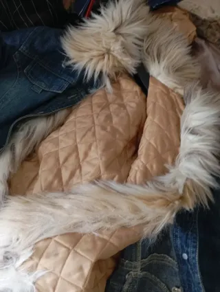 Cazadora vaquera con pelo desmontable