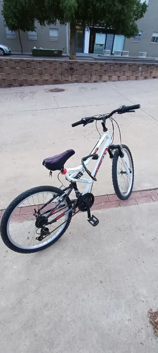 Bicicleta de 24"
