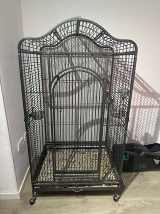 Jaula grande para loro