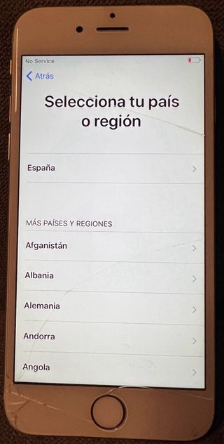 iPhone 6s argento con custodia originale
