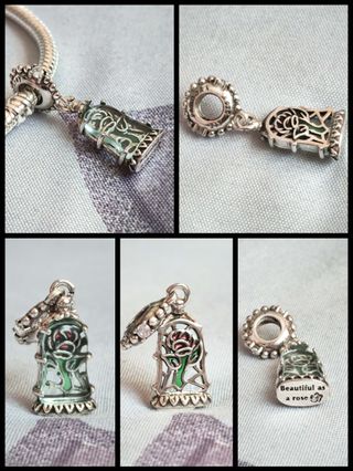 Conjunto Bella y Bestia