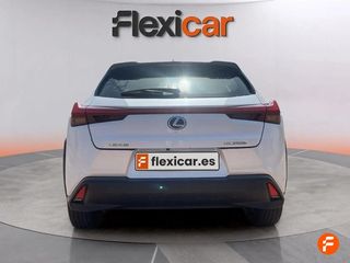 Lexus UX 2.0 250h Business