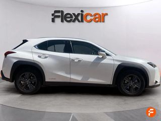 Lexus UX 2.0 250h Business