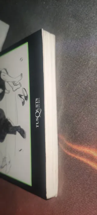 Castillos de cartón